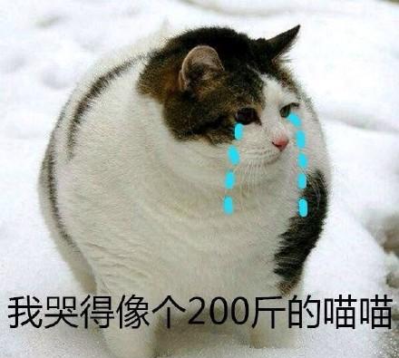 爆笑斗图表情包,我这么单纯,你套路却这么深
