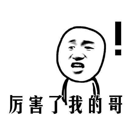 吉利帝豪“一人饮酒醉”——7月轿车销量排行版