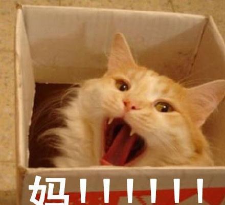 离不开我妈,每天和妈的日常萌萌表情包,你妈喊你回家吃饭!