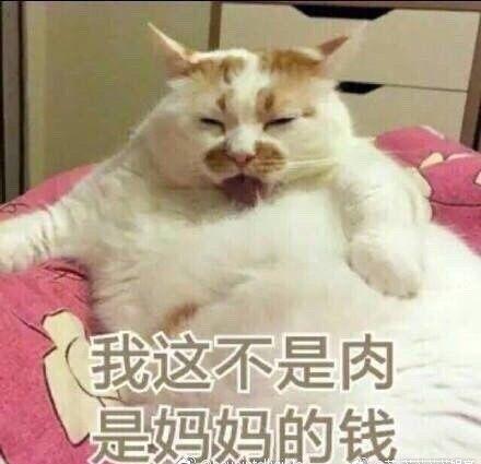 服了，这样去吃海底捞简直就跟不要钱一样！