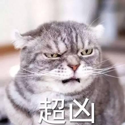 "告诉你我真的很凶哦"系列表情包