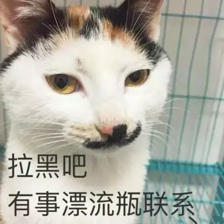 朋友花3万买猫,一天没养就扔给我照顾,心里有点不爽.