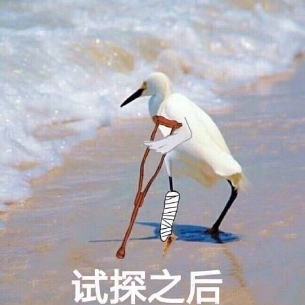 舞蹈老师doinb,在被马哥拉黑的边缘疯狂试探