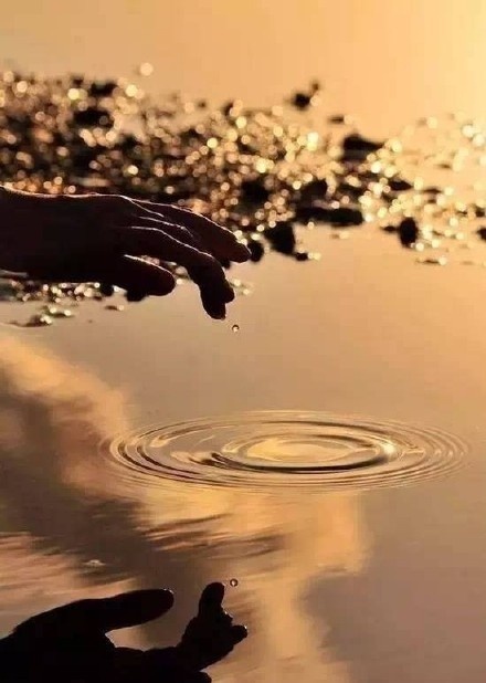 重大政策出台：济南上善若水4楼是干嘛的？实际体验与功能全解析