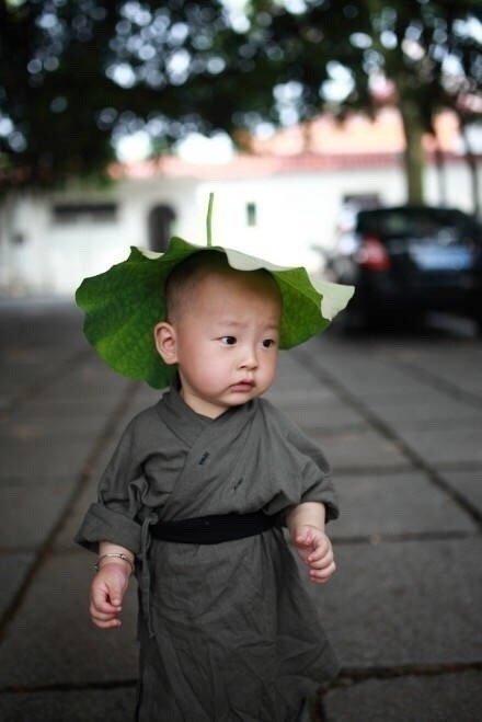 西禅寺超可爱小和尚，萌到一脸的血了！