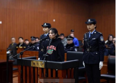 杭州保姆纵火案:林生斌当庭指责莫焕晶说谎,放