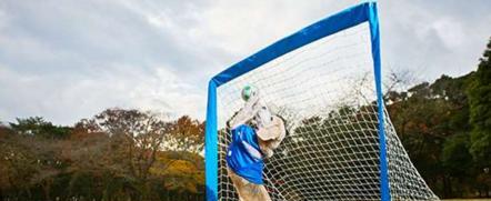 史上最强守门员!这只狗接球技巧破世界史上最