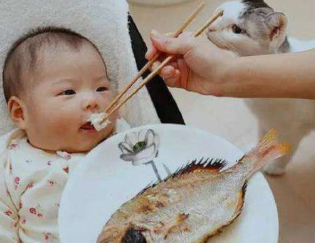 最适合十个月以上宝宝吃的三种鱼!附食谱一份