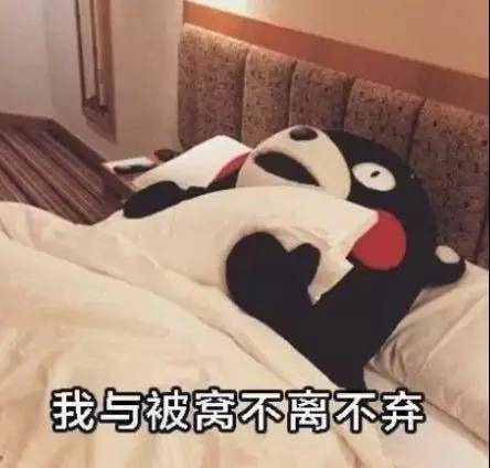 搞笑分享:这么冷的天你不赖床?这些表情包说的应该就是你