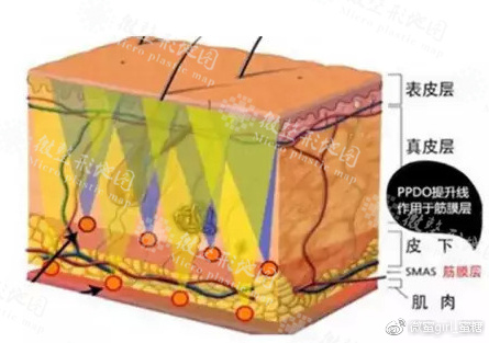 今日探店:南京美迪斯医疗美容诊所