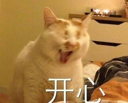 表情包|喵星人,打包带走