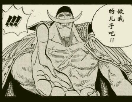 白胡子海贼团的兴衰 船员实力简单剖析