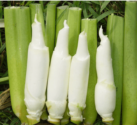 江南三大名菜--茭白, 这3类人千万要少吃
