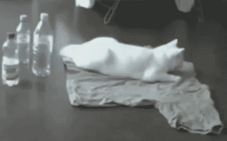 搞笑gif:这真是救命的动作呀