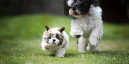 富有哲理的内涵搞笑幽默段子