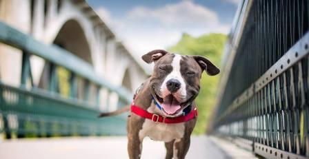 富有哲理的内涵搞笑幽默段子