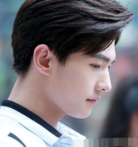 杨洋的鼻子马天宇的嘴鹿晗的眼睛郑爽的腿,盘