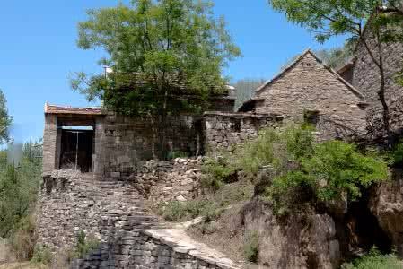 村里混混捉住白蛇,要弄死蛇,蛇流泪,他救蛇,事后