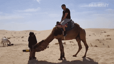 壁纸 动物 马 骑马 450_253 gif 动态图 动图