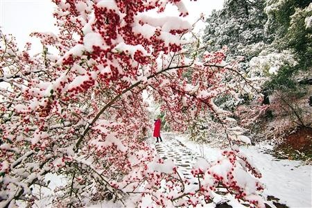 石柱冰雪旅游升级 赏雪滑雪耍事更多