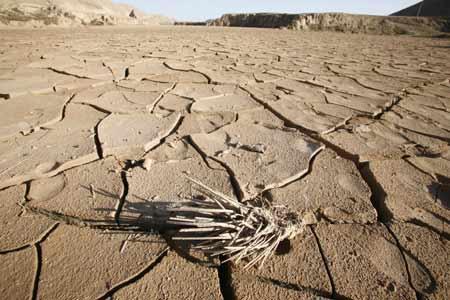 手机制造业步入大萧条