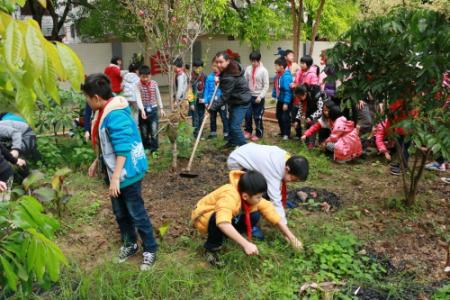 学校植树节活动方案!