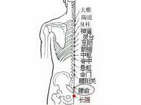 小儿腰部推拿穴位图!