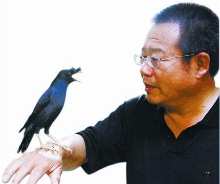 想让八哥说话就一定要把它的舌头给剪掉吗?