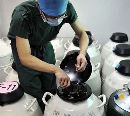 揭秘试管婴儿的孕育过程,妈妈十月怀胎太不容