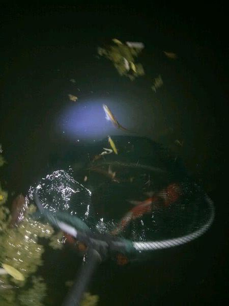 这真的是没浮雕美甲了?地方太逗了,去视频到锦老哥公园钓鱼图片