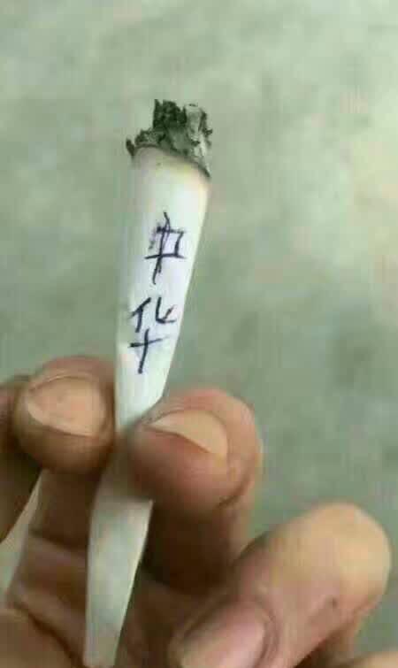 我不是不想瘦,只是不想让不该瘦的地方瘦下来,搞笑趣
