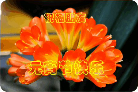 2018元宵节祝福语微信动态图片大全,元宵节祝福图片