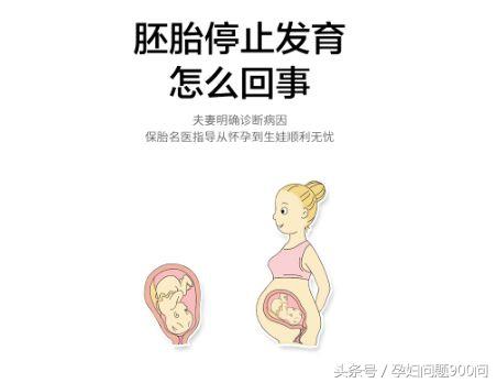 我的备孕史,2次宫外孕2次停胎,输卵管切除一侧