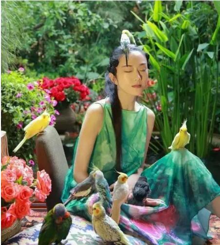 杨丽萍58岁住玉轮宫全景美哭了，抉择舞蹈废弃生小孩，现在皱纹显著二婚老公好酷！