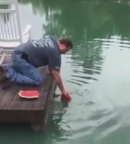 男子用一块西瓜钓鱼,朋友们都笑话他,2分钟后