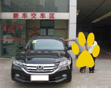 雅阁！跟我回家！