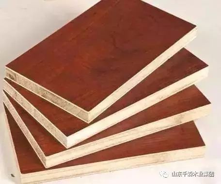 广西融安：服务赋能香杉工业开展