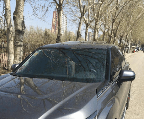 冠道1.5T顶配提车 落地29万买了台本田朋友吐槽太傻还不如买途观