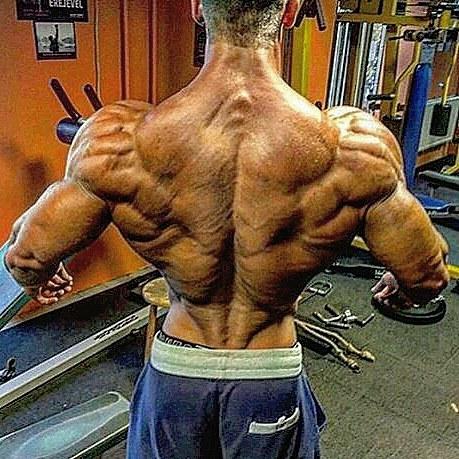 三角肌的最佳锻炼动作,6组动作,让你的肩部不