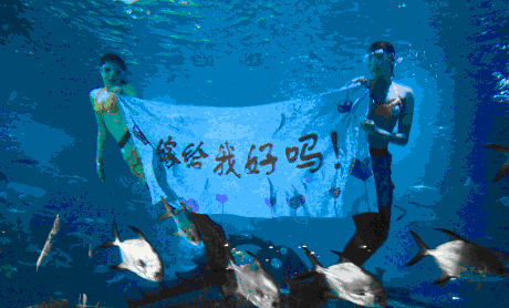 2018年高难度求婚方式,你敢来挑战吗