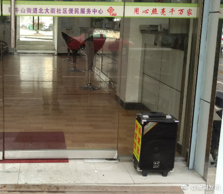 卧牛山街道北大街社区禁燃禁放在行动