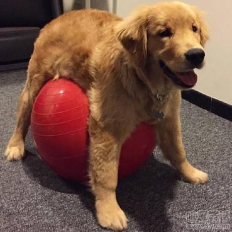 经典爆笑笑话笑得肚子疼,要吗?这伞十块看着笑