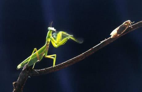 唐代版人彘事件:唐高宗王皇后惨遭武则天报复