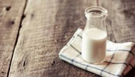 纯牛奶和鲜牛奶哪个好,纯牛奶和鲜牛奶的区别