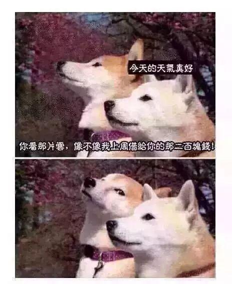 为了让朋友还钱,我把他的朋友圈赞到几年前