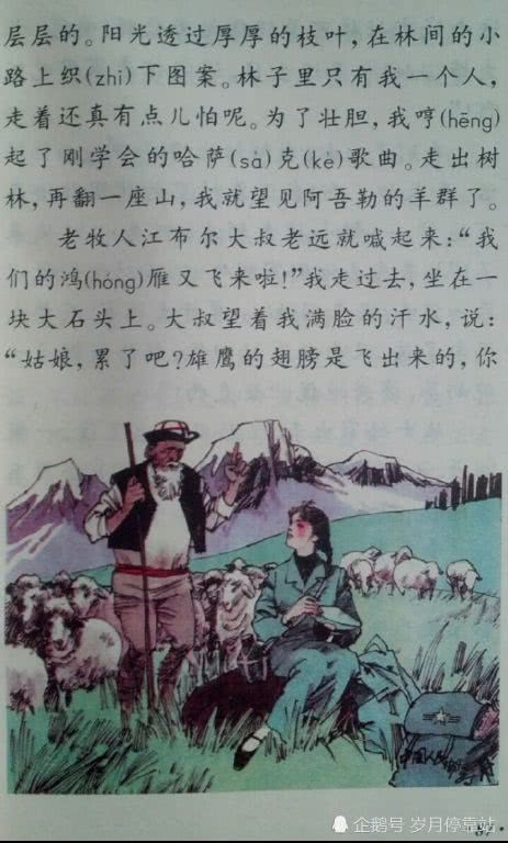 90后语文课本,苦柚,我们家的猫,电脑管家,一晃二十年过去了