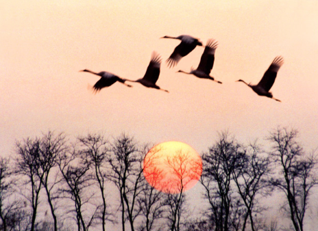 18年歌曲排行榜前十名,你曾为那首歌而动容