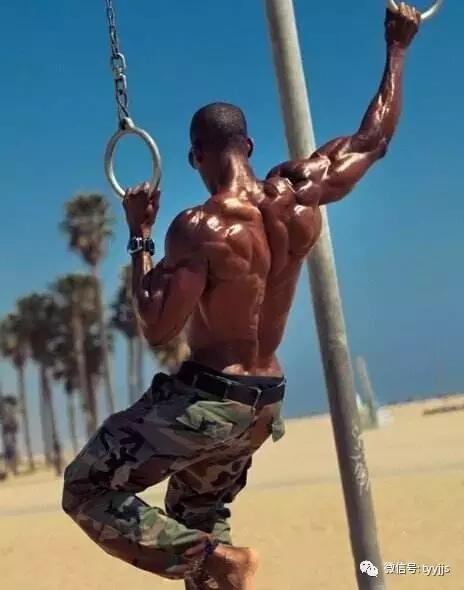 初学者健身计划分享,真正的硬干货!