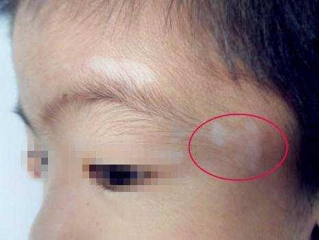 栖凤楼论坛登录入口全解析与使用指南