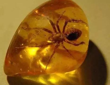 土豪将自己的380万奔驰G级做成琥珀网友琥珀恒久远奔驰永流传